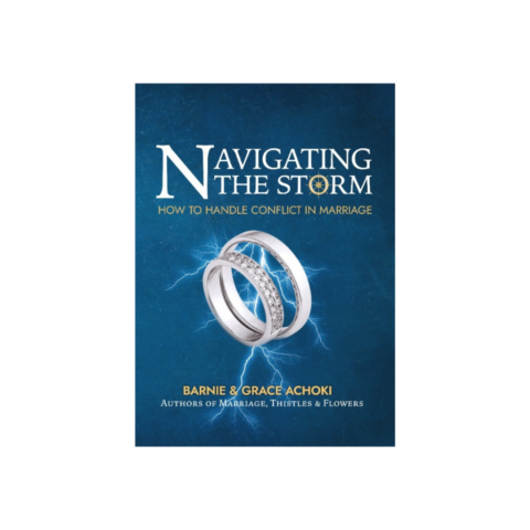 Navigating the Storm.jpg ACABA