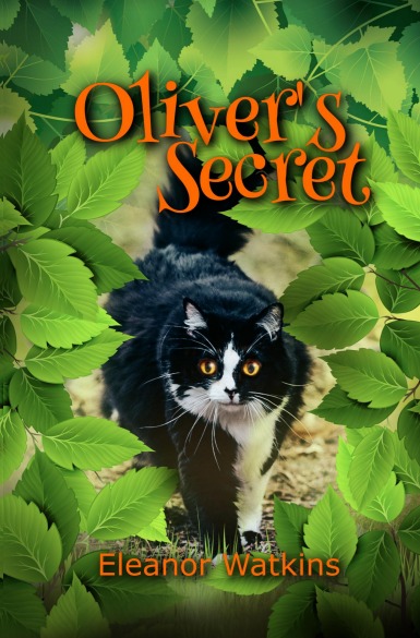 Oliver's Secret by Eleanor Watkins, Josh Williams